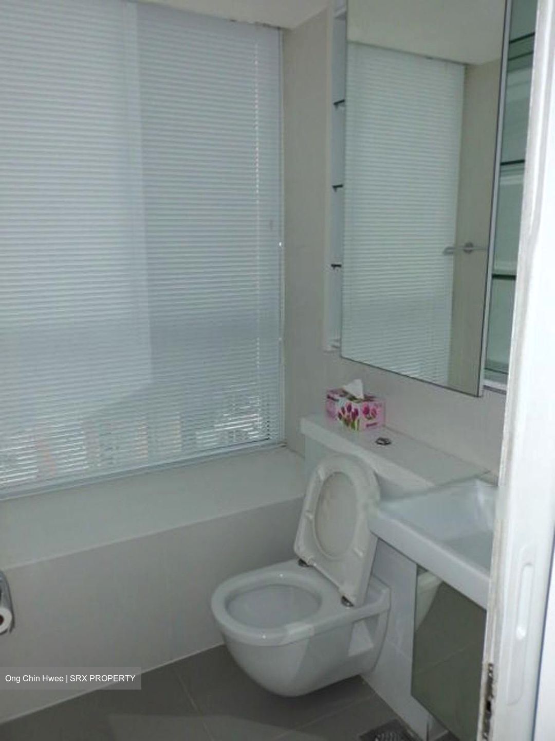 The Regency At Tiong Bahru (D3), Condominium #382677301